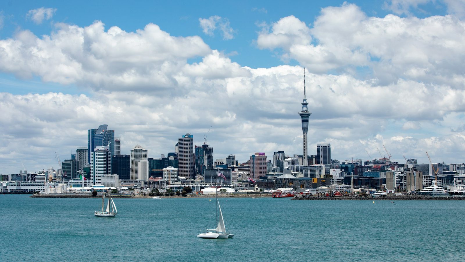 The city skyline and the Sky Tower across the harbour, with two sailing boats on the water