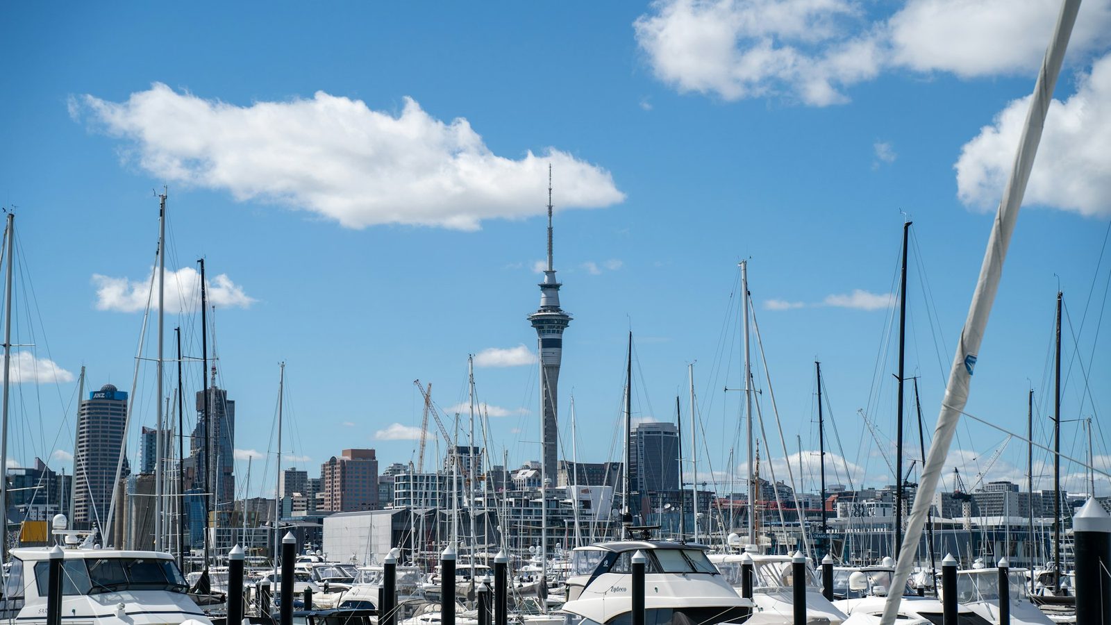 Masts in a marina in the foreground, with the Sky Tower and city buildings rising behind them