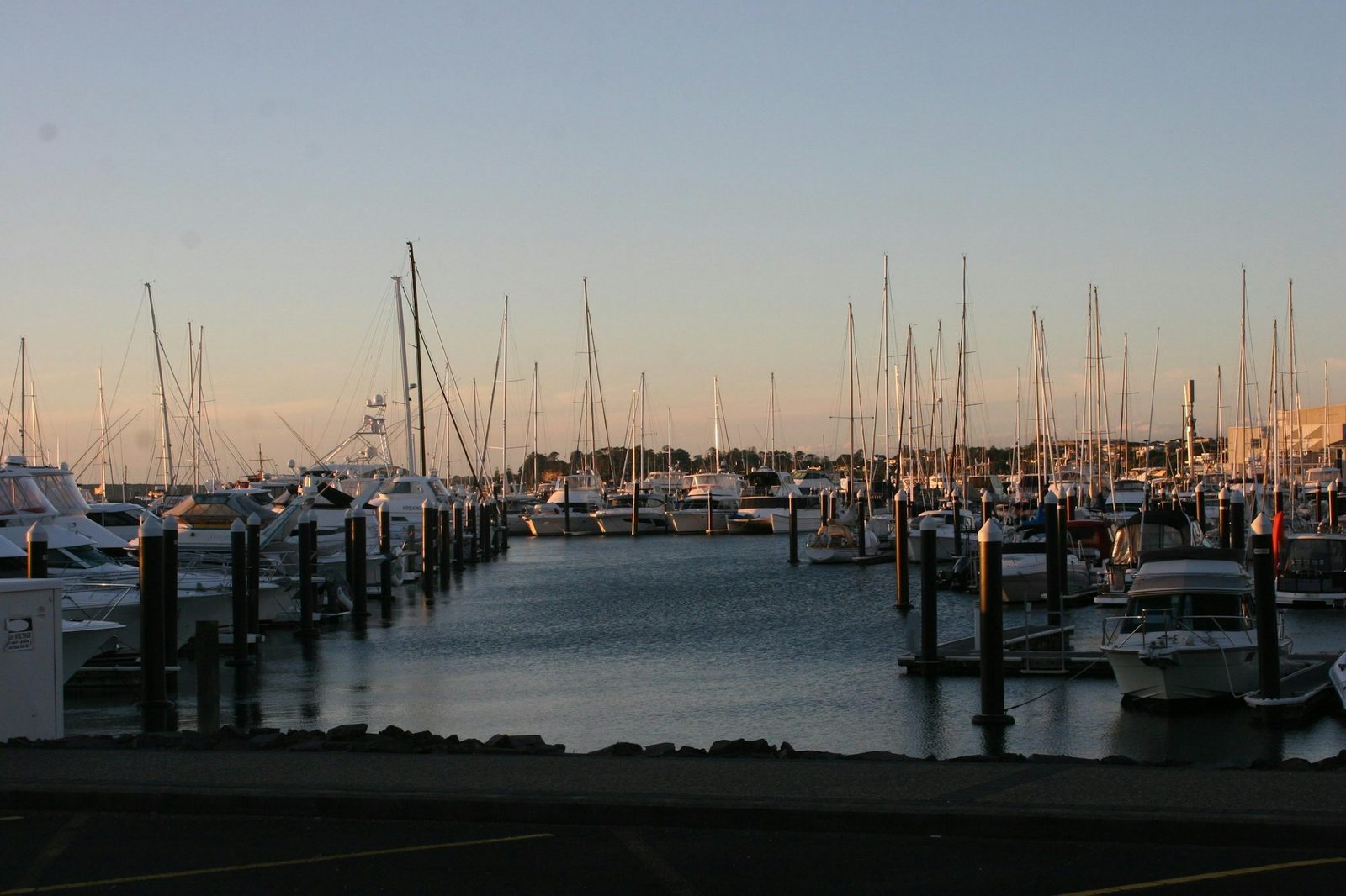 Yachts moored along marina pontoons in low, warm light, their masts against a pale sky