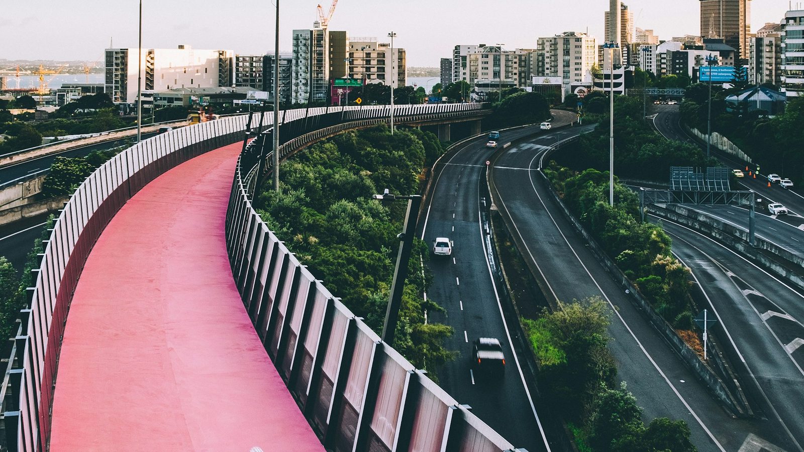 A cyclist on a pink path above a motorway, with the Sky Tower in the distance