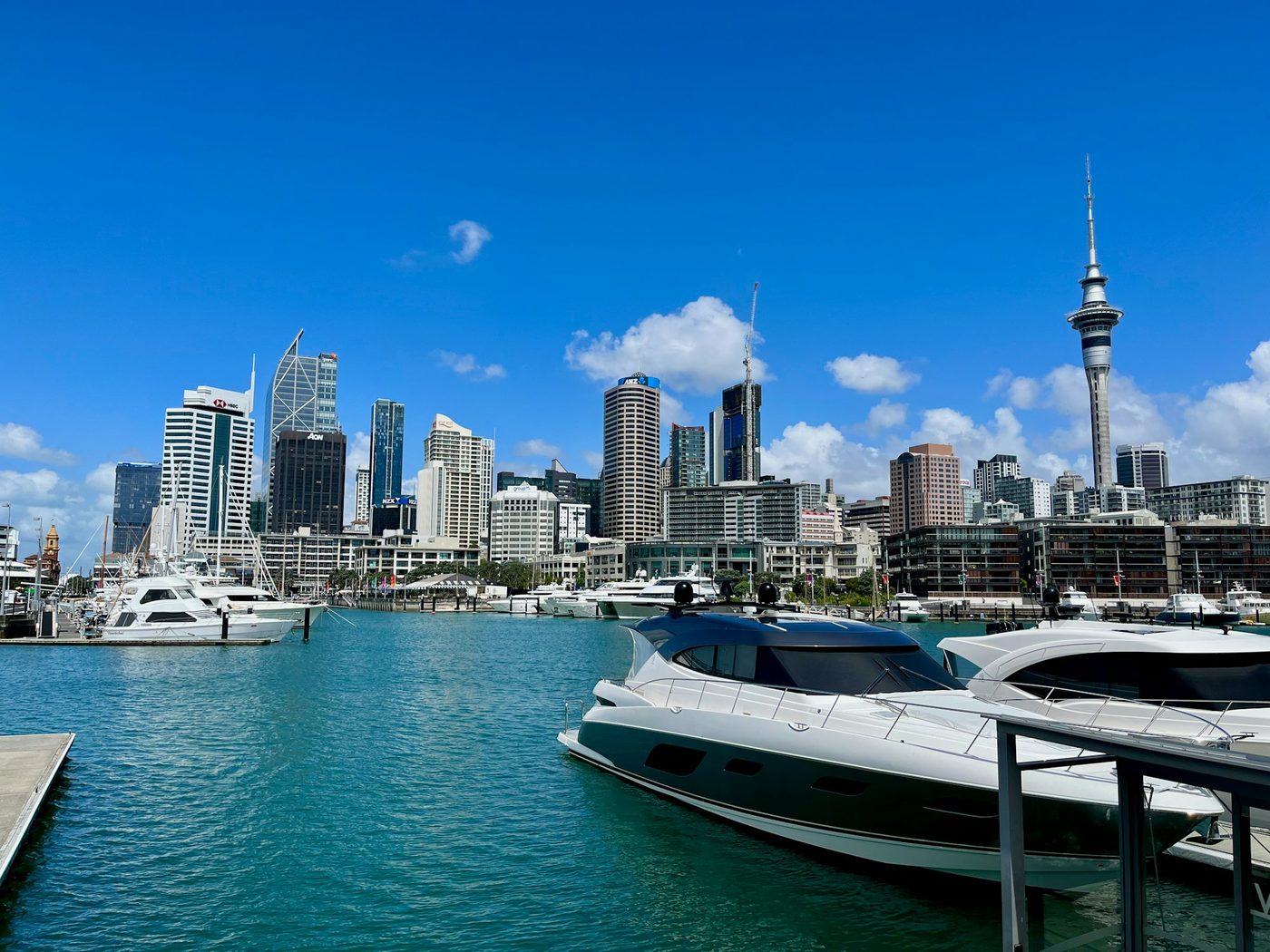 Motor yachts and a sailing boat in a marina, with the Sky Tower and city towers behind